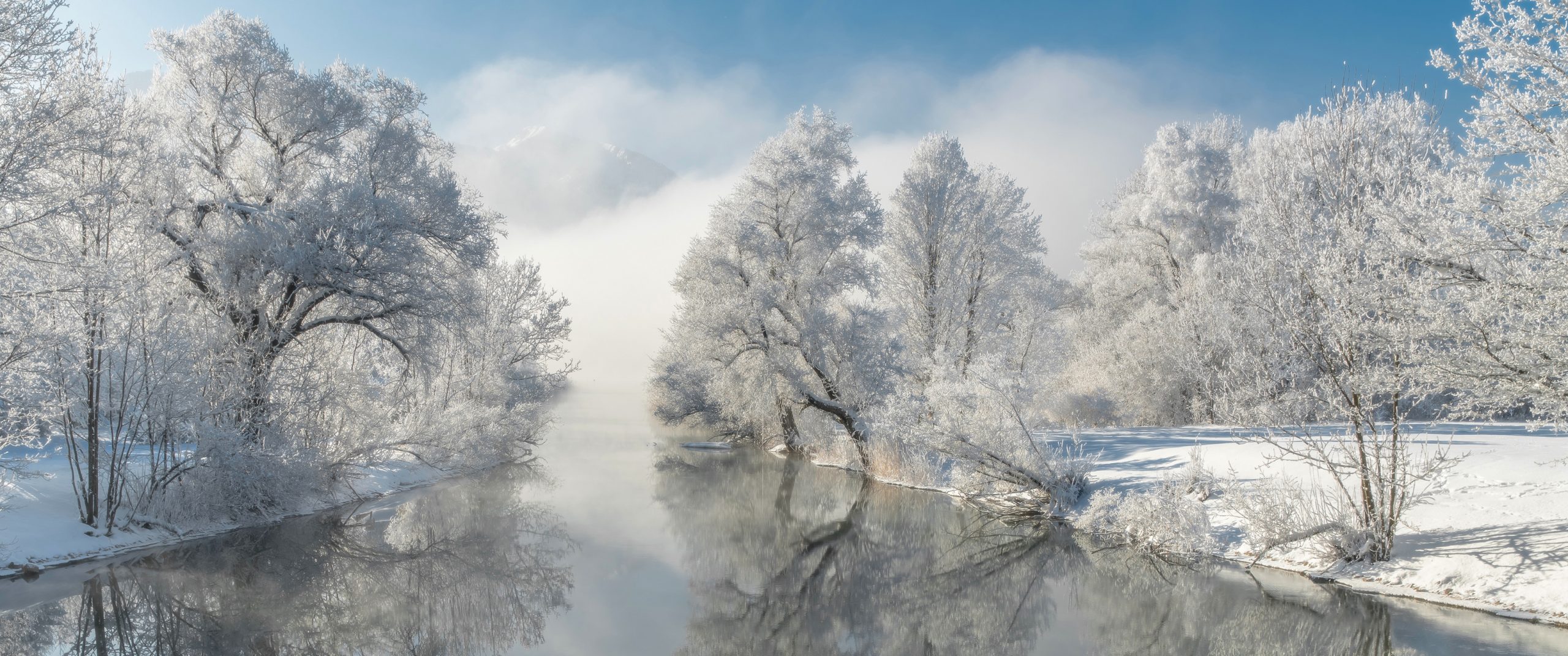 子归云|专注于技术分享