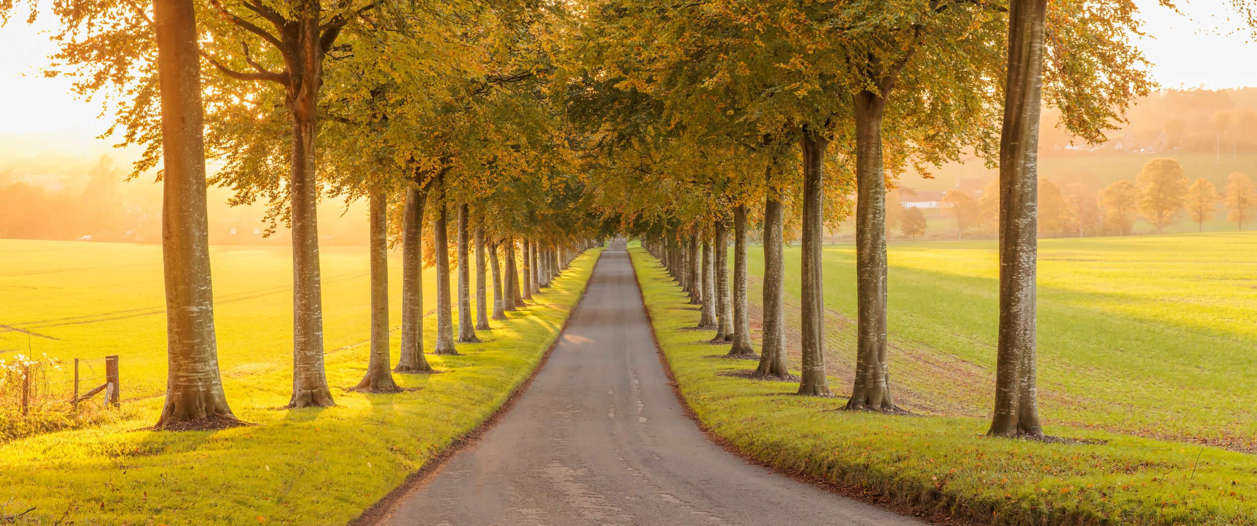 子归云|专注于技术分享