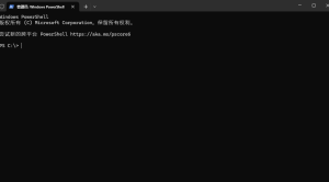 Win11 命令 实用技巧|子归云